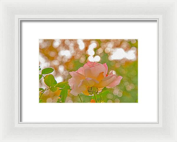 Light Pink Rose and Orbs - Framed Print