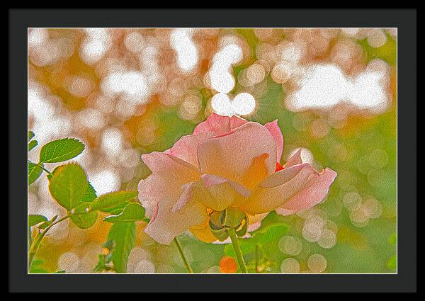 Light Pink Rose and Orbs - Framed Print