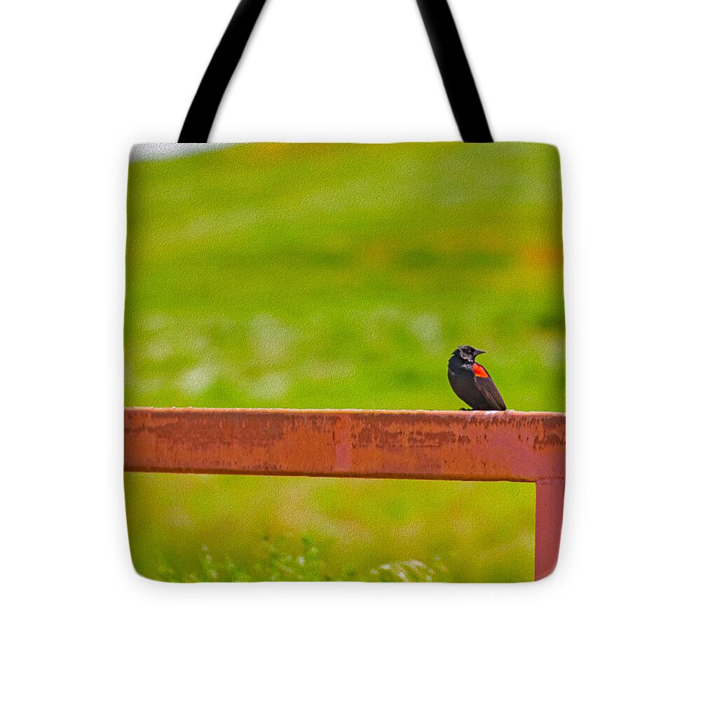 Lonely Small Bird Chilling on a Fence - Tote Bag