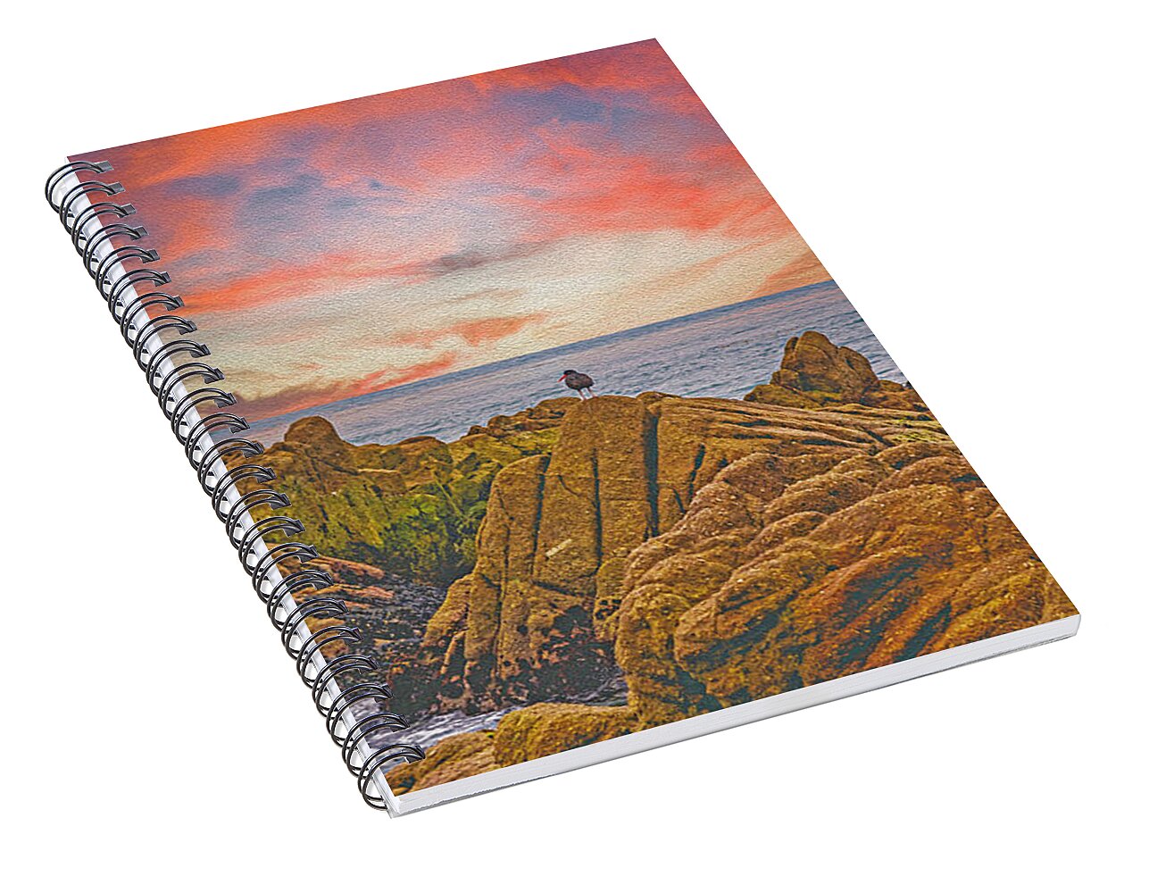 Lovers Point Beach - Spiral Notebook