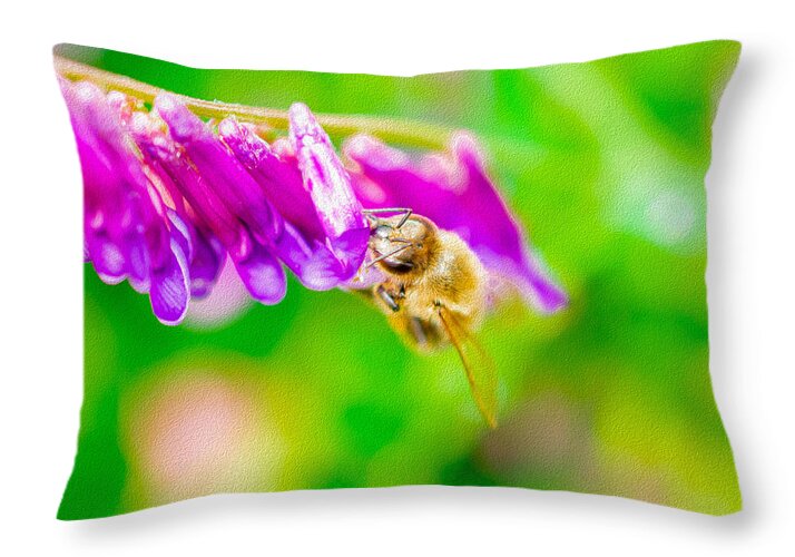 Macro Bee on a Purple Flower with Green Background - Throw Pillow