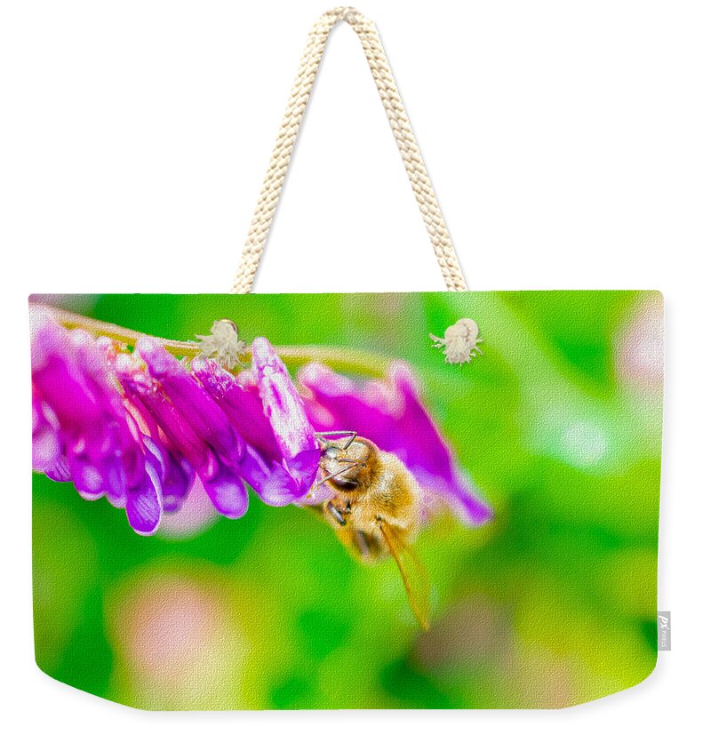 Macro Bee on a Purple Flower with Green Background - Weekender Tote Bag
