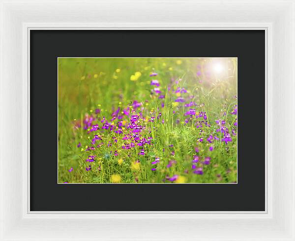 Magical Meadows with Purple and Yellow Flowers - Framed Print