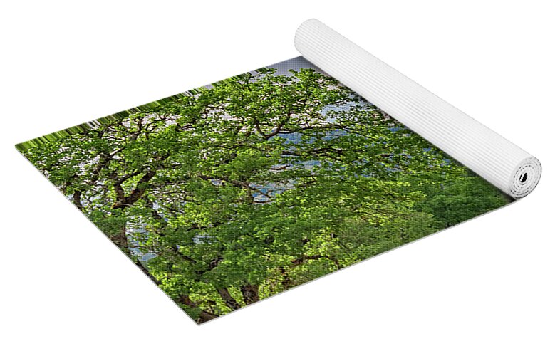 Mariposa County Roads - Yoga Mat
