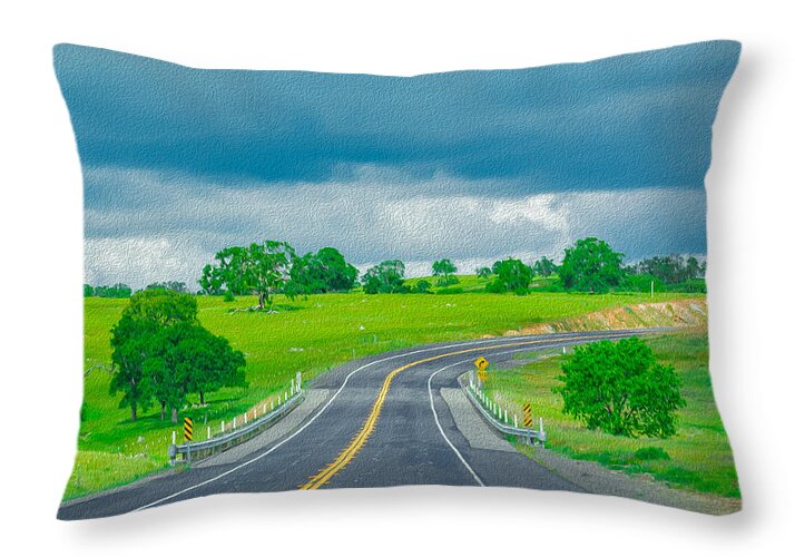 Natural Cloudy Day Road Landscape - Throw Pillow