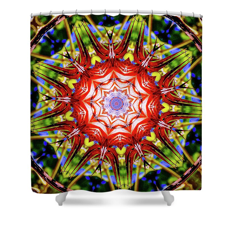 Nature's Fragments Mandala - Shower Curtain