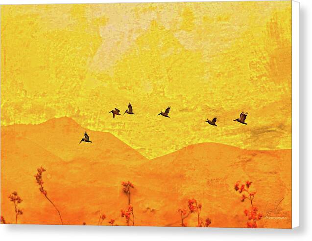 Orange bakcground and flying birds - Canvas Print
