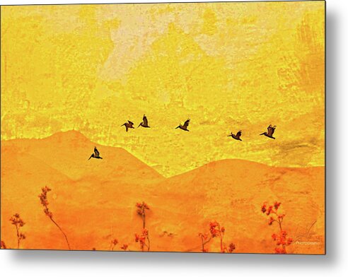 Orange bakcground and flying birds - Metal Print