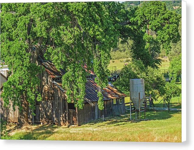 Outdoor Barn Central California - Canvas Print