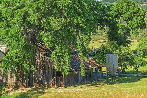 Outdoor Barn Central California - Art Print
