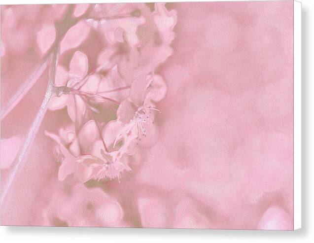 Pink Flowers Background Artistic Backdrop - Canvas Print
