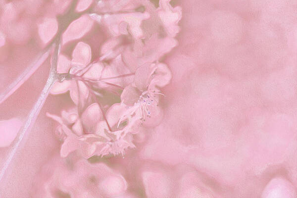 Pink Flowers Background Artistic Backdrop - Art Print