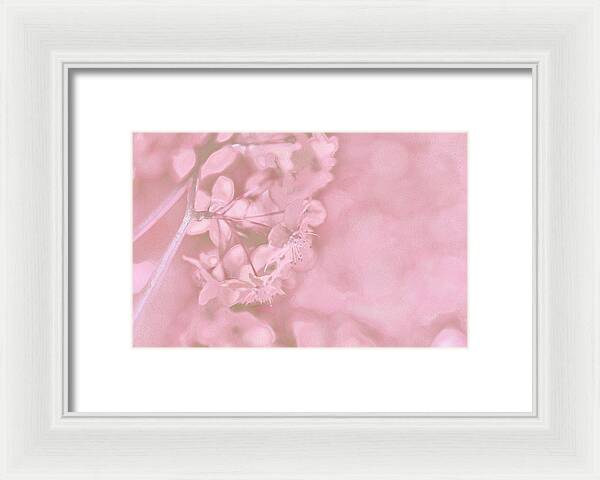 Pink Flowers Background Artistic Backdrop - Framed Print