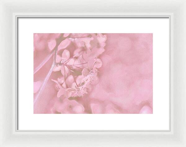 Pink Flowers Background Artistic Backdrop - Framed Print