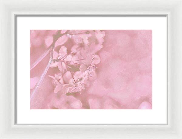 Pink Flowers Background Artistic Backdrop - Framed Print