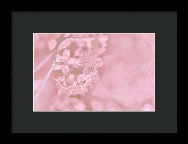 Pink Flowers Background Artistic Backdrop - Framed Print