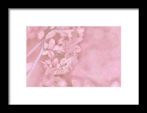 Pink Flowers Background Artistic Backdrop - Framed Print