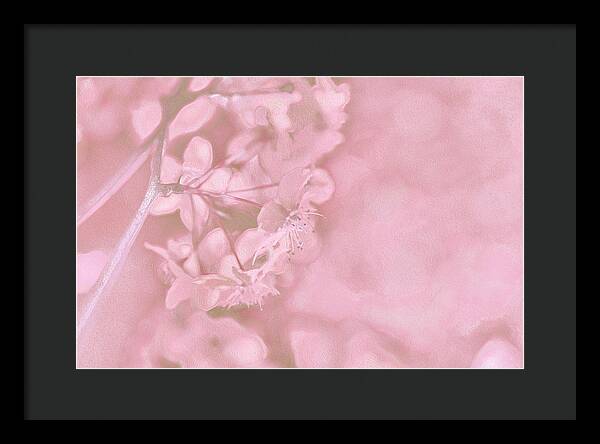 Pink Flowers Background Artistic Backdrop - Framed Print
