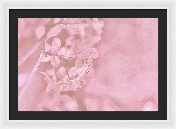 Pink Flowers Background Artistic Backdrop - Framed Print