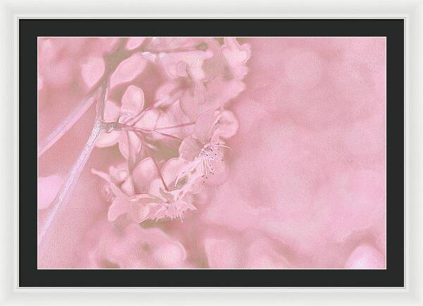 Pink Flowers Background Artistic Backdrop - Framed Print