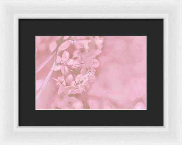 Pink Flowers Background Artistic Backdrop - Framed Print