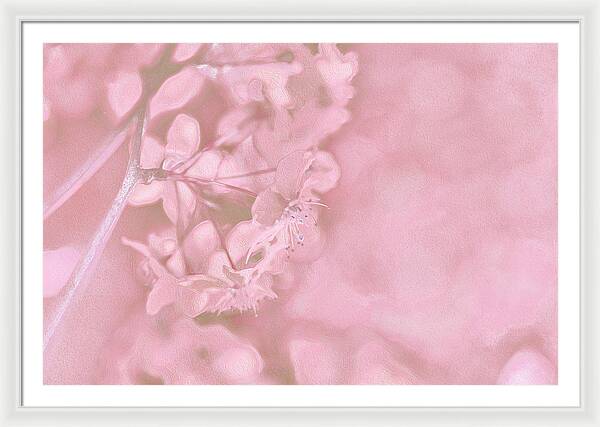 Pink Flowers Background Artistic Backdrop - Framed Print