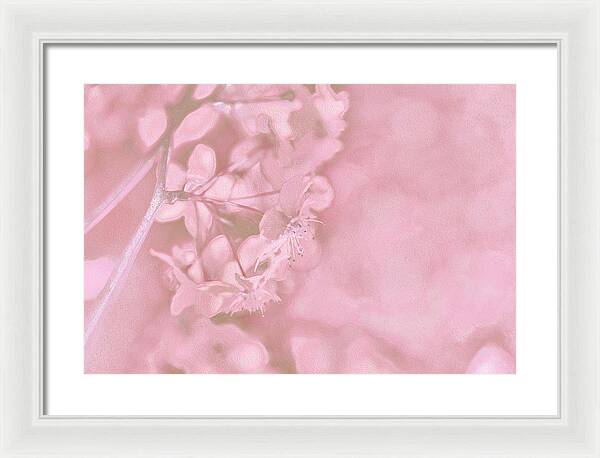 Pink Flowers Background Artistic Backdrop - Framed Print