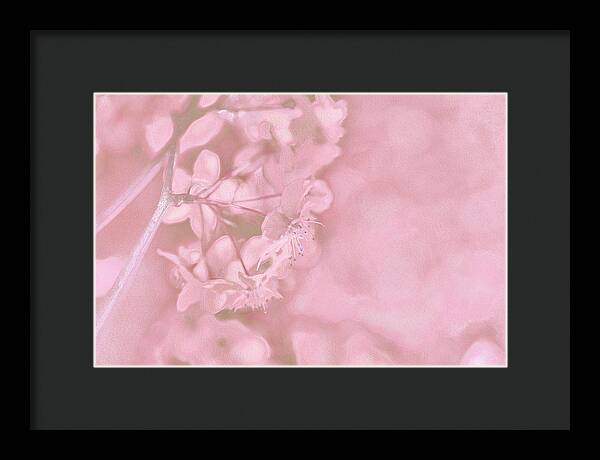 Pink Flowers Background Artistic Backdrop - Framed Print