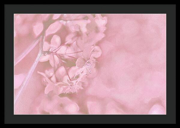 Pink Flowers Background Artistic Backdrop - Framed Print