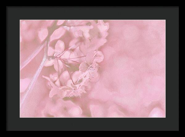 Pink Flowers Background Artistic Backdrop - Framed Print