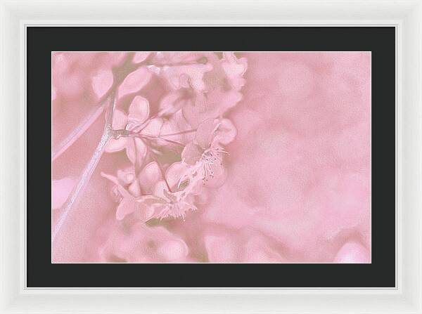Pink Flowers Background Artistic Backdrop - Framed Print
