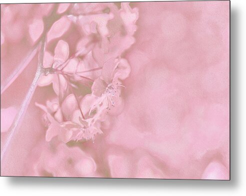 Pink Flowers Background Artistic Backdrop - Metal Print