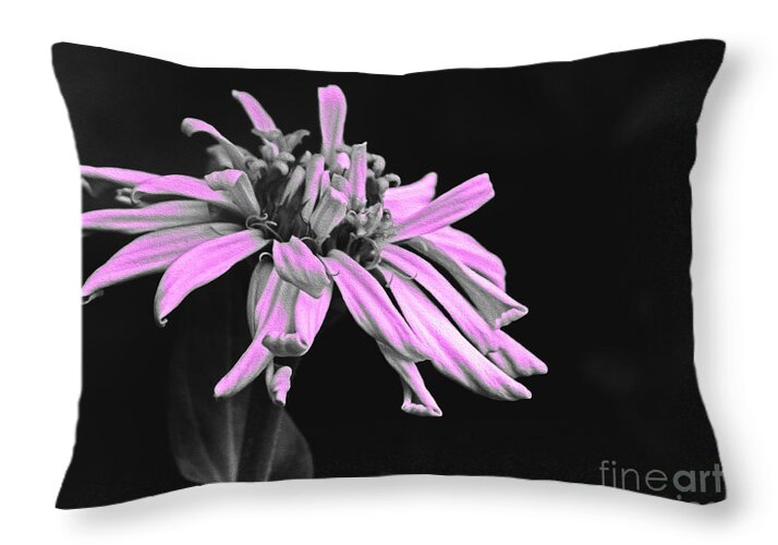 Pink Midnight Flower - Throw Pillow