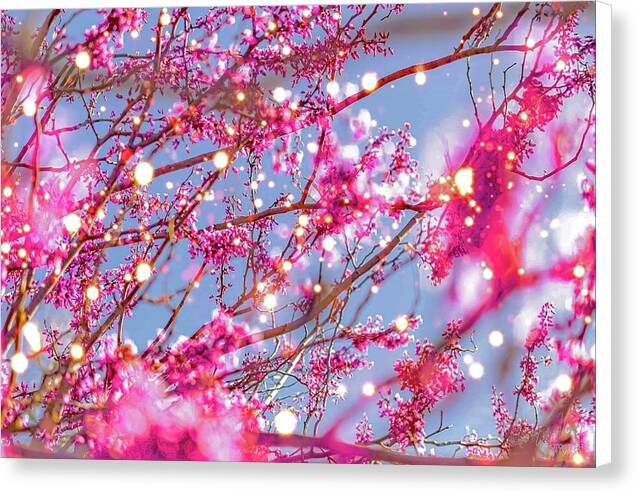 Pink Sparkling Blooms - Canvas Print