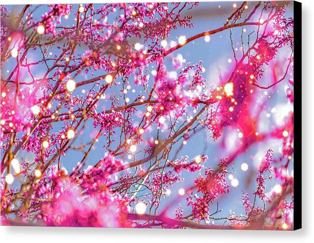 Pink Sparkling Blooms - Canvas Print