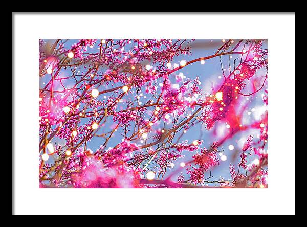 Pink Sparkling Blooms - Framed Print