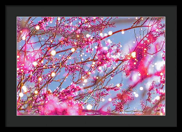 Pink Sparkling Blooms - Framed Print