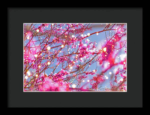 Pink Sparkling Blooms - Framed Print