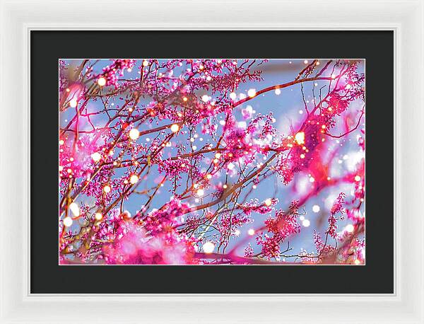 Pink Sparkling Blooms - Framed Print