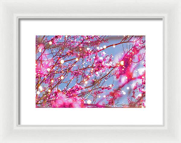 Pink Sparkling Blooms - Framed Print