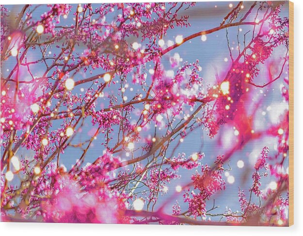 Pink Sparkling Blooms - Wood Print