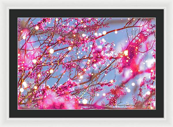 Pink Sparkling Blooms - Framed Print