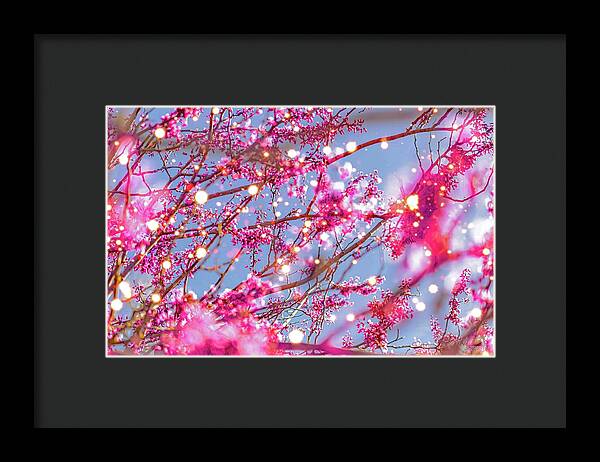 Pink Sparkling Blooms - Framed Print