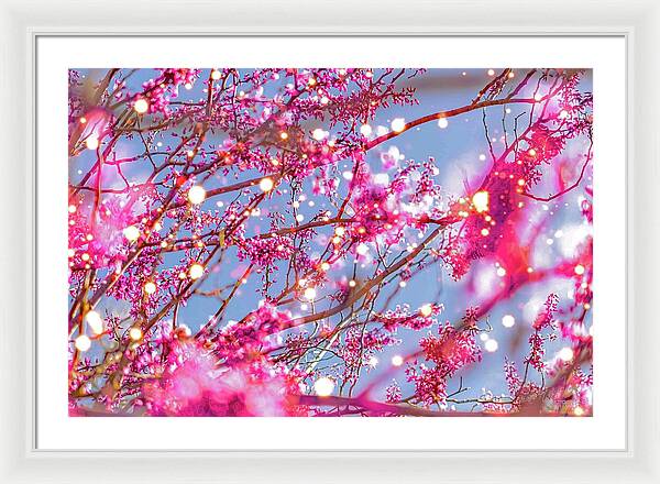 Pink Sparkling Blooms - Framed Print