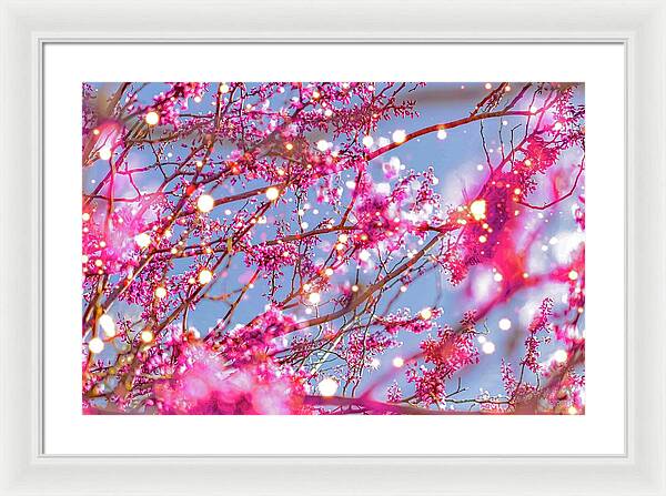 Pink Sparkling Blooms - Framed Print