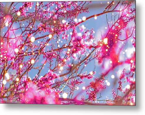Pink Sparkling Blooms - Metal Print