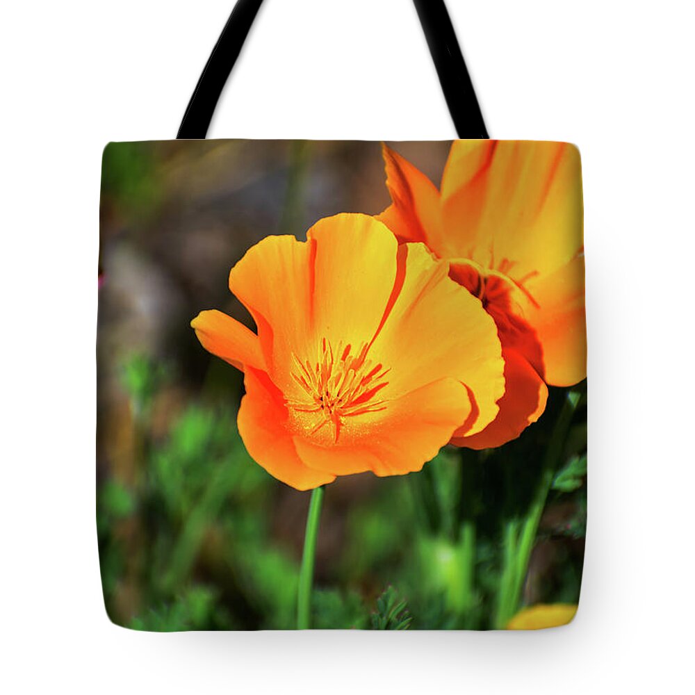 Poppy Flower Hugs - Tote Bag