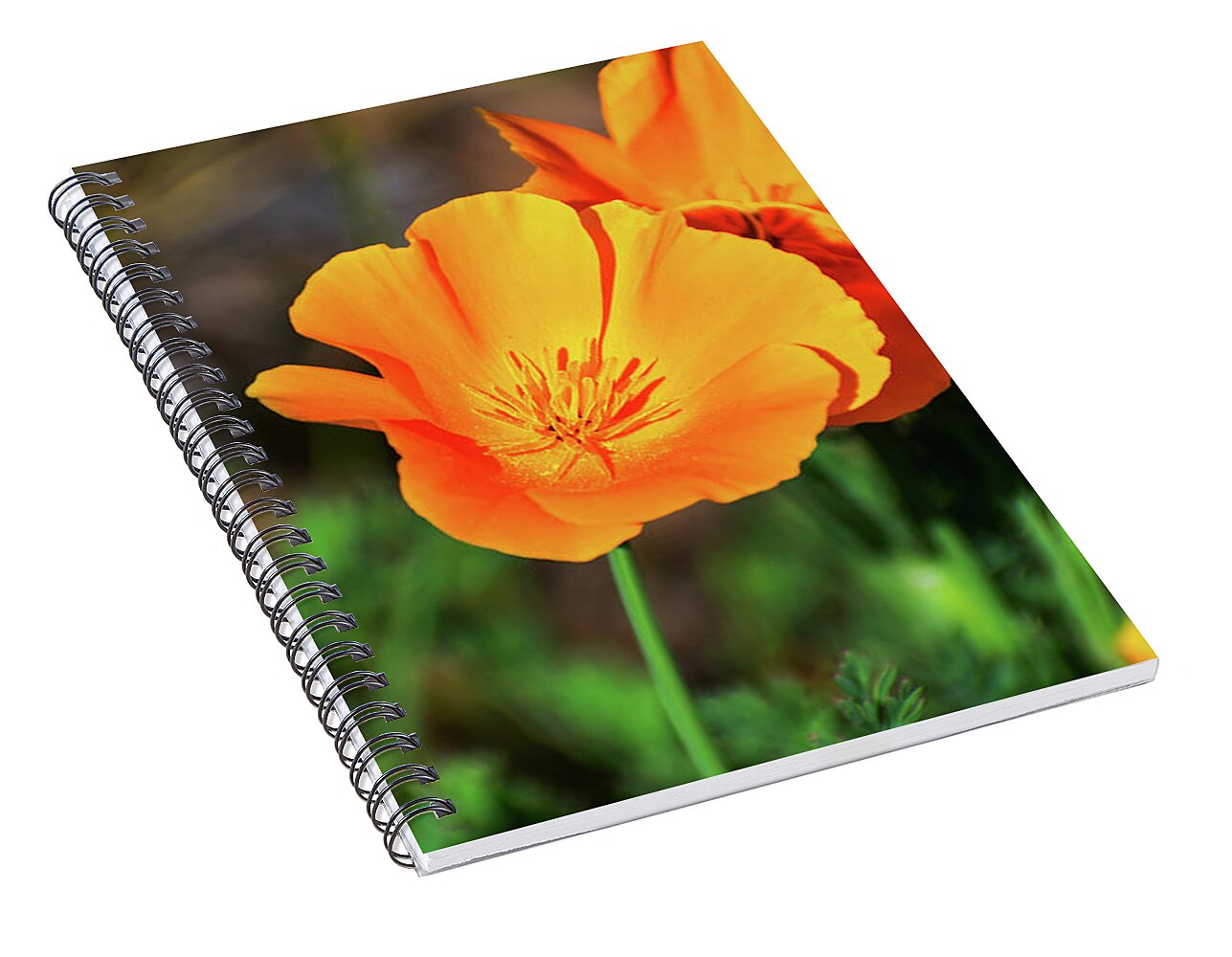 Poppy Flower Hugs - Spiral Notebook