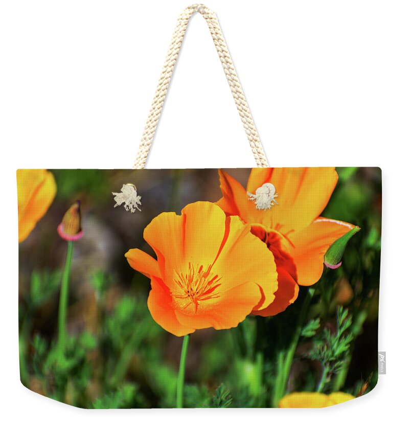 Poppy Flower Hugs - Weekender Tote Bag