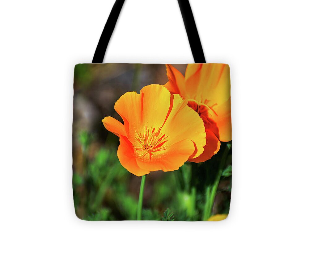 Poppy Flower Hugs - Tote Bag